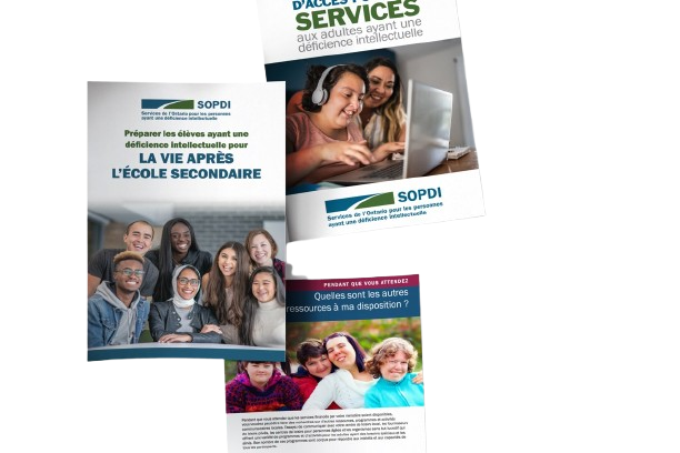 French brochure removebg